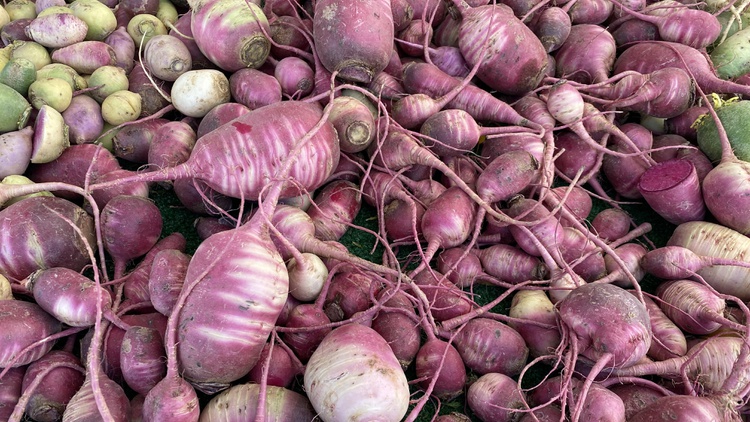 Kismet chef Sara Kramer loves the honeydew radish at the Weiser Family Farms stand to top a crudo.