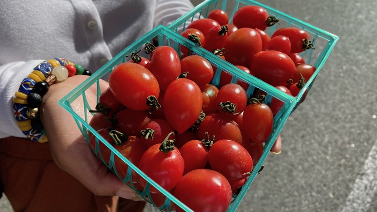 Chef Juan Ferreiro of Great White and Gran Blanco is shopping at Wong Farms, which is growing tomatoes hydroponically.