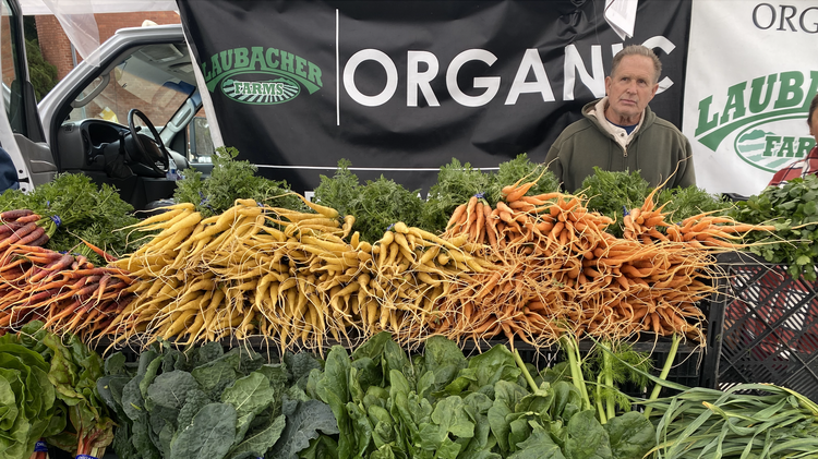 Chef Zarah Khan culls carrots at the farmer’s market for a new dish at Rustic Canyon.