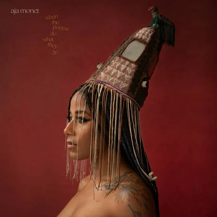 aja monet – when the poems do what they do.jpeg aja monet – when the poems do what they do.jpeg